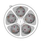 Technik Professional Στρογγυλό Πολύπριζο 5 Θέσεων 1,4m καλώδιο 16A